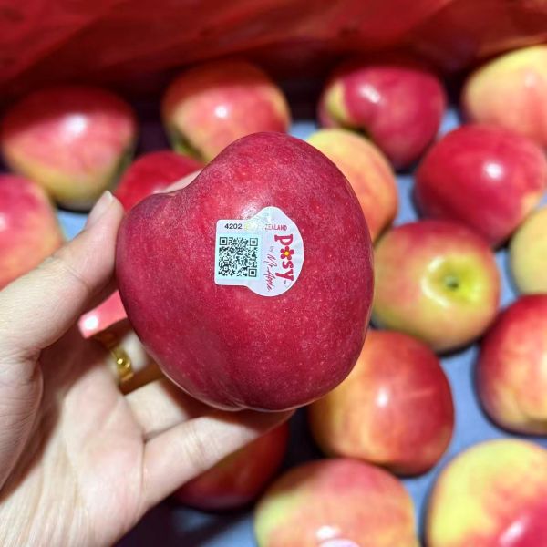 新西兰|小花苹果（简装）|12个|次日配送