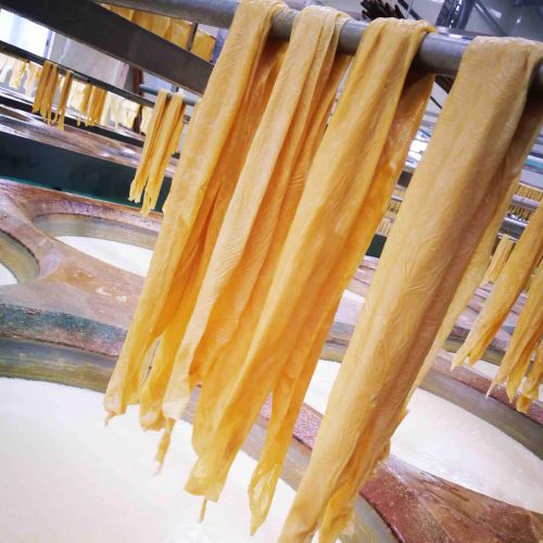 广东|有机鲜竹|500g/袋|1袋|次日配送