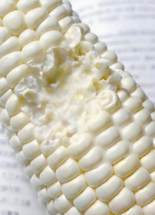 精选|爆浆牛奶玉米|特级，单穗300g以上×6根|1箱|次日配送