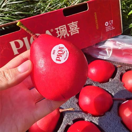 新西兰|红啤梨礼盒装|12个|次日配送