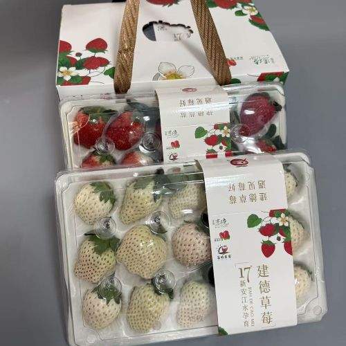 建德|混装草莓二合一礼盒装|宝珠、白草莓各一板|1箱|次日配送