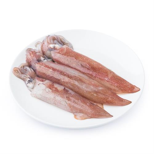 海鲜|火箭鱿鱼（7-8两）|1条|次日配送