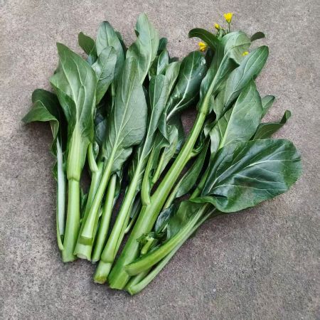 高山蔬菜|有机菜心|1斤|次日配送