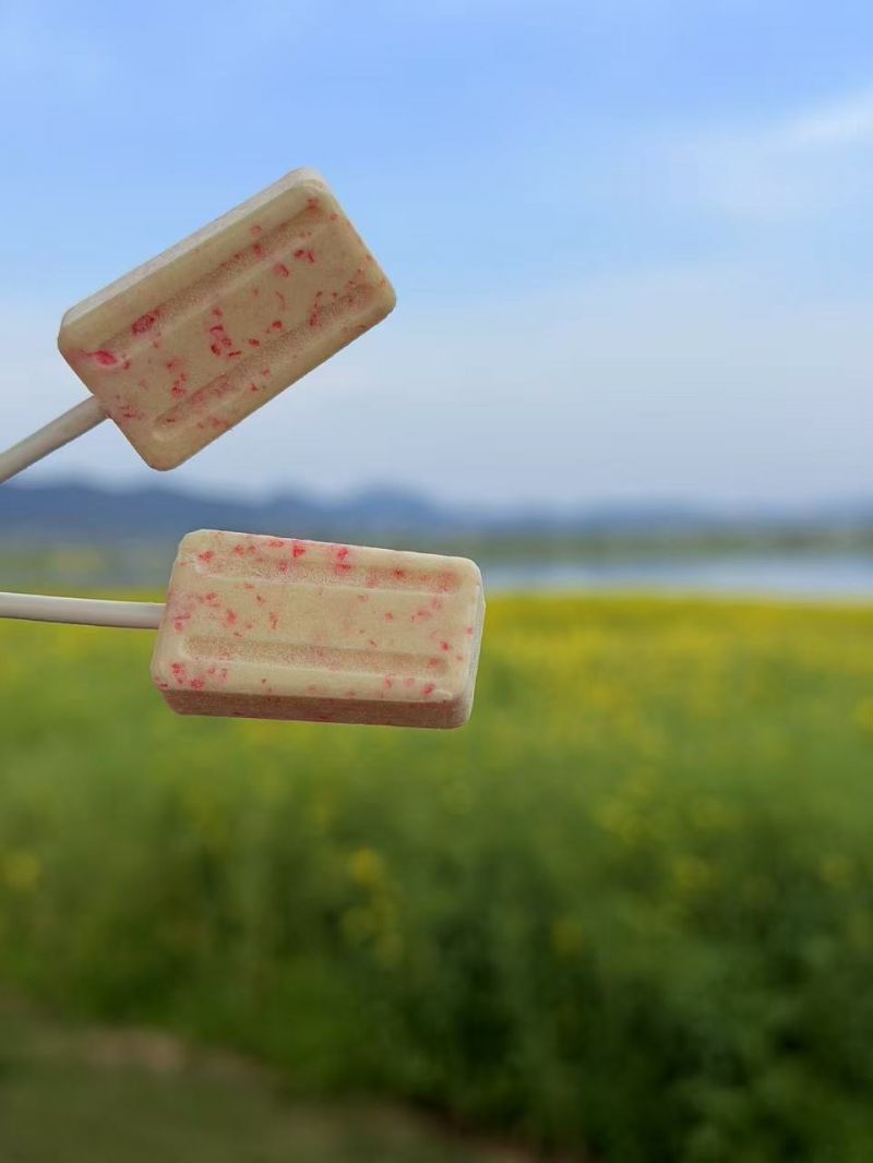 精选|跳跳糖奶棒|1盒