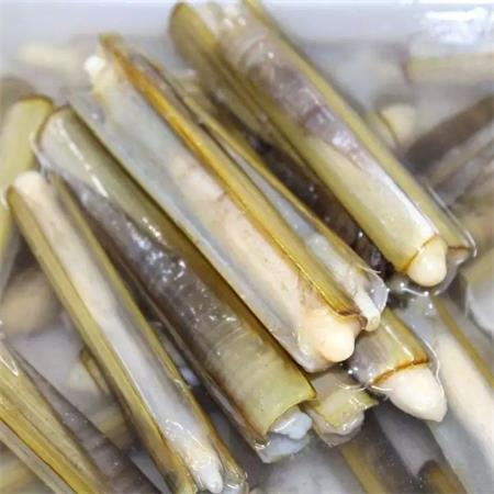 海鲜|竹蛏|1斤|10月20日配送