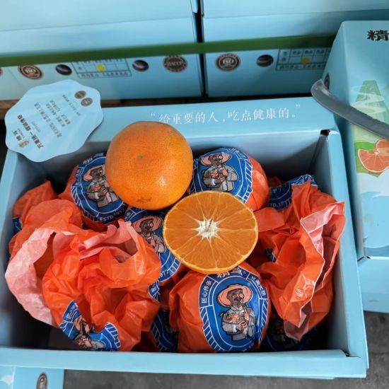 精选|精笃柑橘|1箱|次日配送