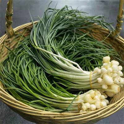 高山蔬菜|野生芜葱/胡葱|0.5斤|次日配送