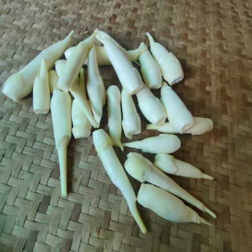 高山蔬菜|野生迷你茭白肉|0.5斤|次日配送