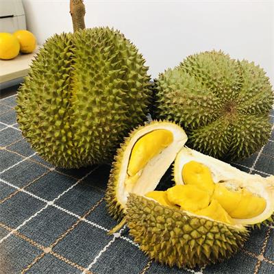 泰国|金凤榴莲（2.6-2.8斤）|1个