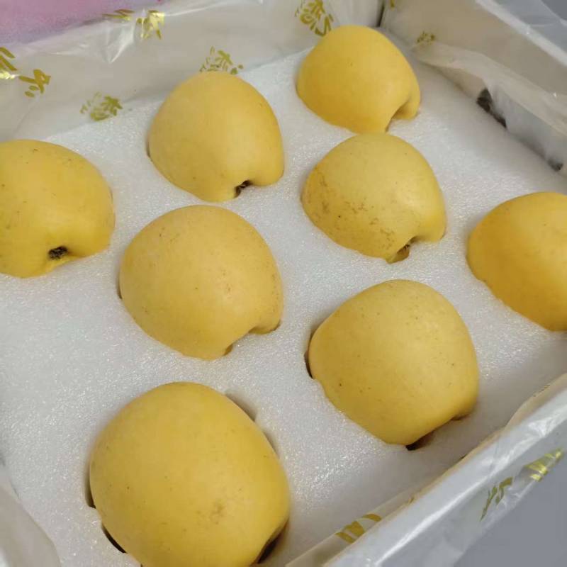 精选|冬恋苹果|8/10头|1箱|次日配送