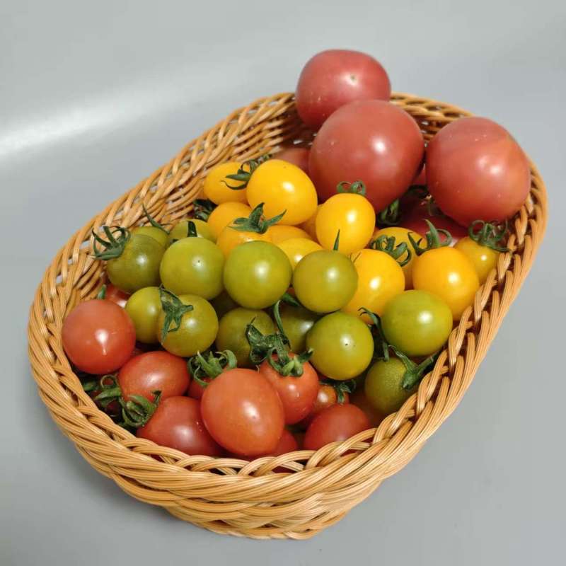 活动|水果番茄组合（4斤）|水果番茄2斤+混装小番茄2斤，一次尝遍所有品种|1份