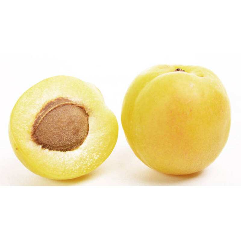 新疆|库车小白杏|净重3斤左右|1箱|次日配送
