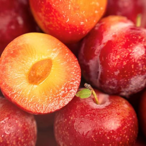 智利|空运樱桃李（5勾）|5斤|次日配送