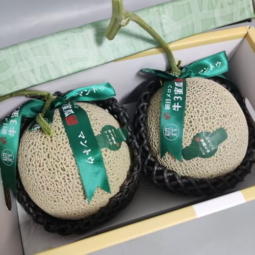 精选|牛三网纹瓜（两个装）|净重5斤以上|1箱|次日配送