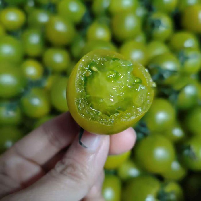 精选|青霞绿番茄|2斤|次日配送