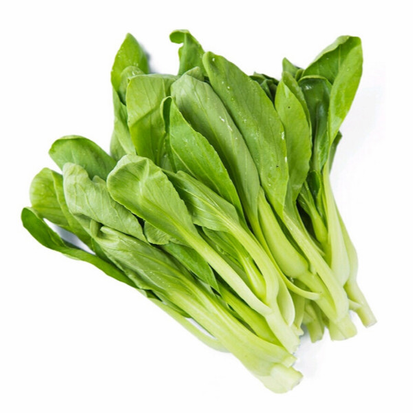 高山小青菜|500g|周二/周五/周六配送