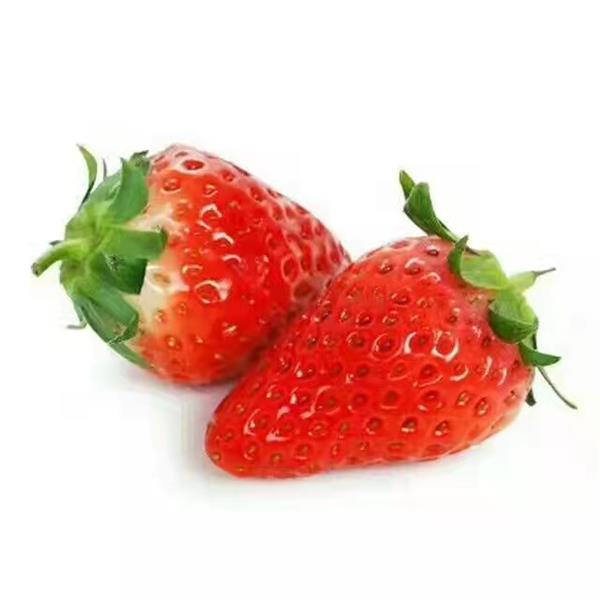 下沙|奶油草莓中小果|章姬品种，含篮子1.5斤|1篮|次日配送