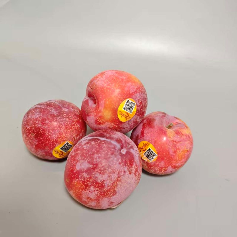 智利|太阳李|进口原装|30个|次日配送