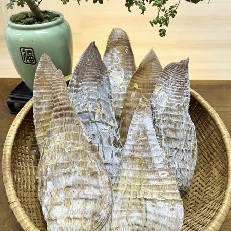 精选|整片毛笋干（12-18cm）|1斤|次日配送