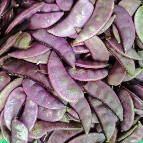 高山蔬菜|红扁豆|1斤|次日配送