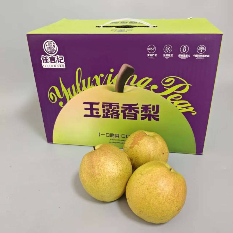 隰县|玉露香梨（手提箱）|10头左右，净重4.2斤|1箱|次日配送
