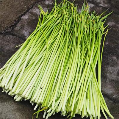 高山蔬菜|大蒜芯/蒜薹|0.8斤|次日配送