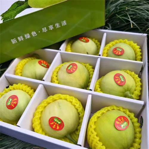 精选|马连庄甜瓜|8/9头|1箱|次日配送