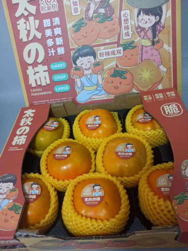 开口箱太秋脆柿|8头装|1箱|次日配送