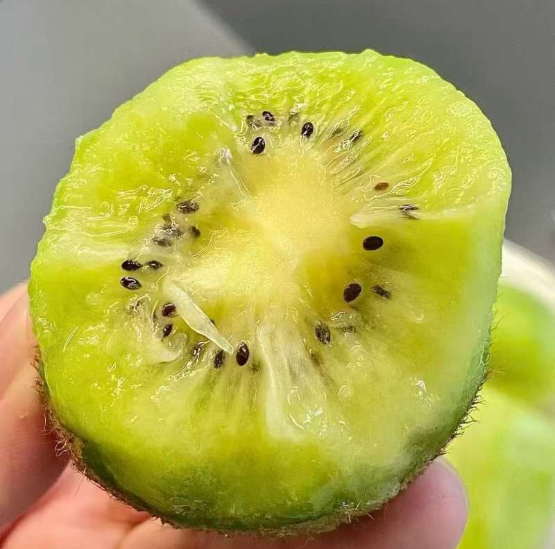 精选|即食猕猴桃|20头|1箱|次日配送