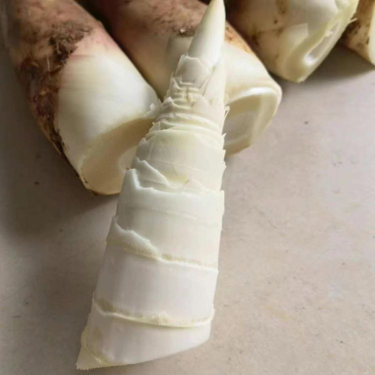 精选|特级春笋|1.3斤|次日配送