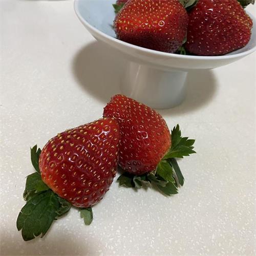 下沙|黑草莓|8~20g之间，含篮子1.5斤；真红美玲品种|1篮|次日配送